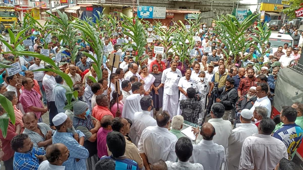 Protests against buffer zones gather pace in Idukki The Hindu